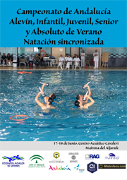 cartel cto andalucia verano sincro web